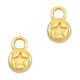 DQ metal charm 6mm Star Gold