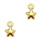 DQ metal charm Start 7x4mm Gold