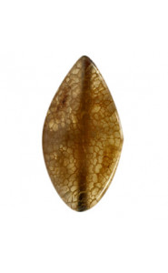 Semi-precious stone Agate bead oval 25x40mm Brown