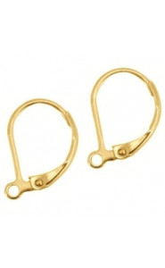 Stainless steel Earrings closable Gold