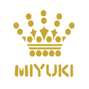 Miyuki Delica beads 8/0