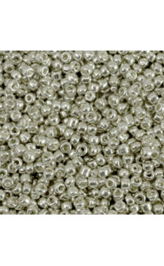 Seed beads 11/0 (2mm) Metallic shine warm silver