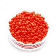 Rocailles kralen 11/0 (2mm) 